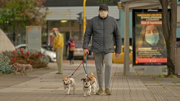 Los perros que «pasean» a sus dueños