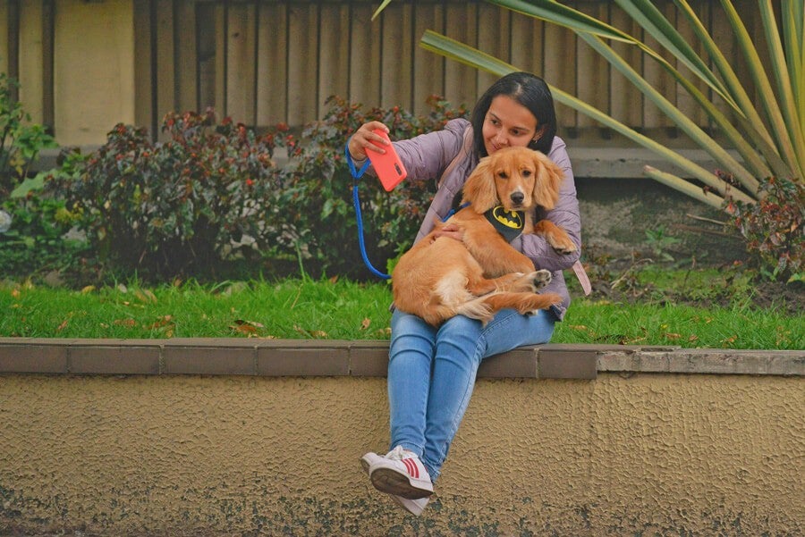 LOS PERROS QUE “PASEAN” A SUS DUEÑOS