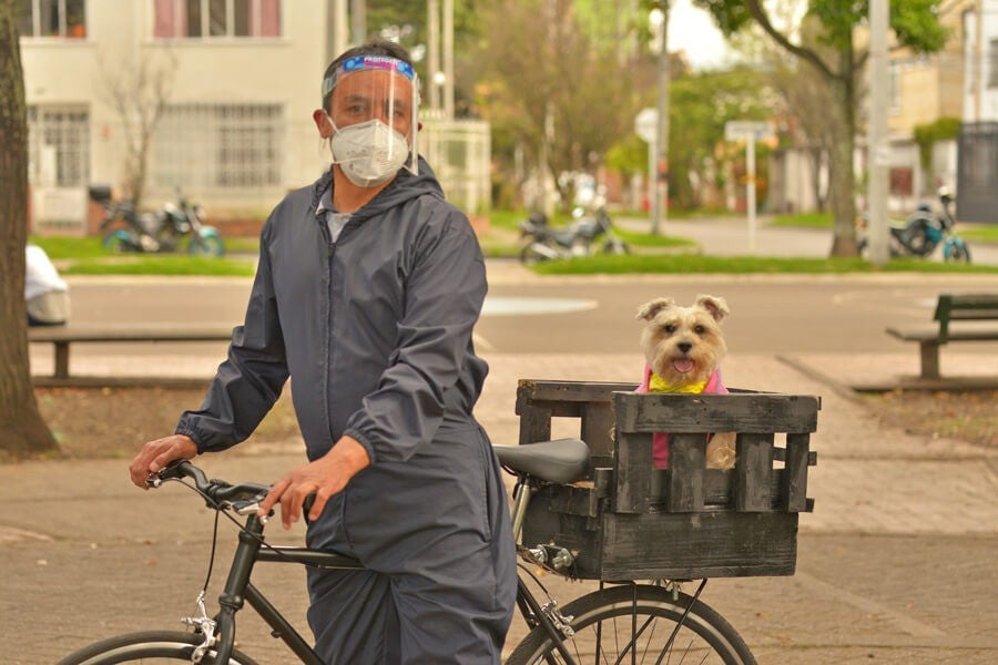 LOS PERROS QUE “PASEAN” A SUS DUEÑOS