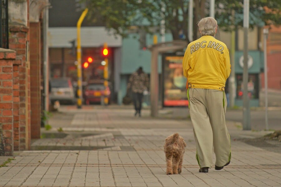 LOS PERROS QUE “PASEAN” A SUS DUEÑOS