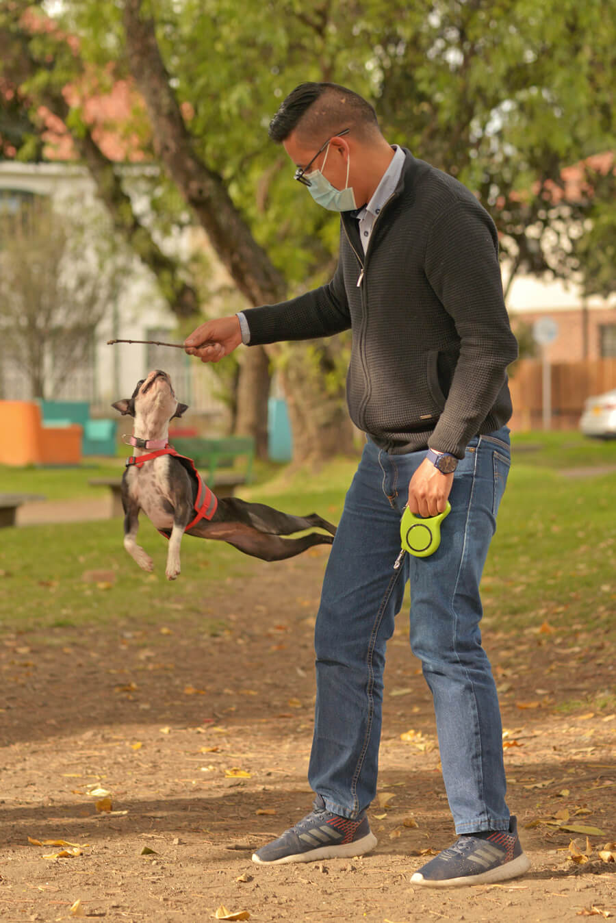 LOS PERROS QUE “PASEAN” A SUS DUEÑOS