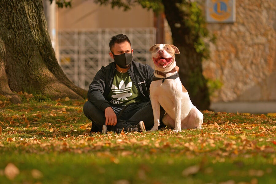 LOS PERROS QUE “PASEAN” A SUS DUEÑOS