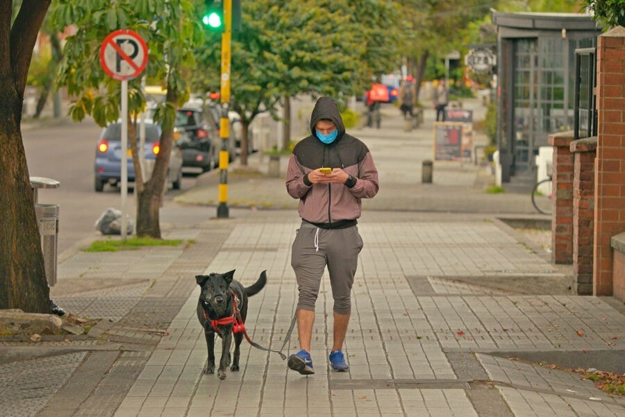 LOS PERROS QUE “PASEAN” A SUS DUEÑOS