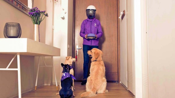 Laika, la plataforma digital que nació para atender a las mascotas Laika, la plataforma digital que nació para atender a las mascotas