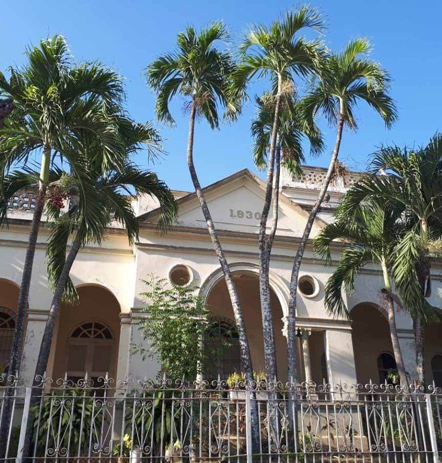 Corozal, la magia tropical para descubrir en sucre