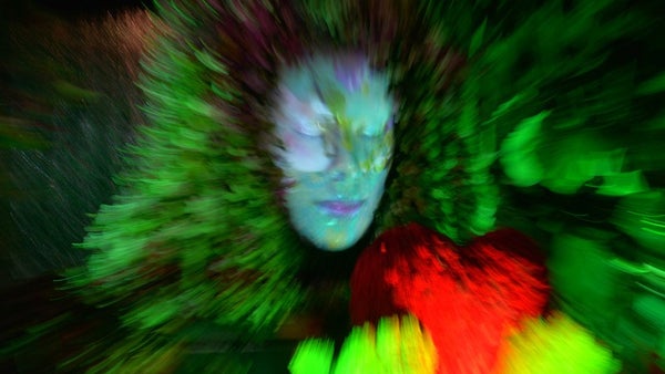 Luces y ecología, el show del Jardín Botánico en imágenes