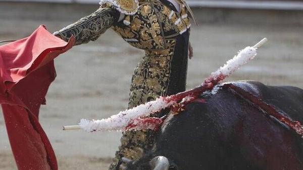 Fallo de la Corte Constitucional ordena reanudar corridas de toros en Bogotá