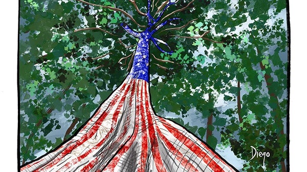 ‘Amazonas soberano’