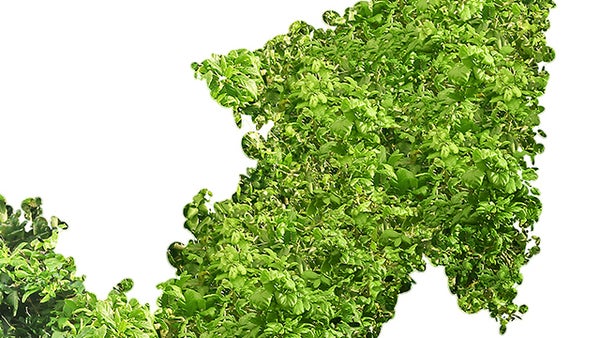 Colombia, un referente de sostenibilidad empresarial en Latinoamérica Colombia, un referente de sostenibilidad empresarial en Latinoamérica